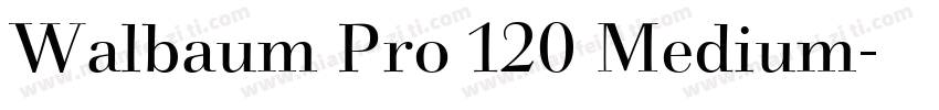 Walbaum Pro 120 Medium字体转换
